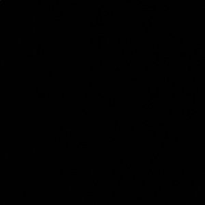 Meet your Posher, Zynab